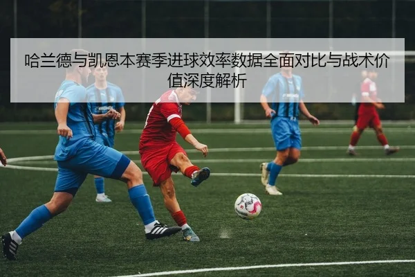 哈兰德与凯恩本赛季进球效率数据全面对比与战术价值深度解析